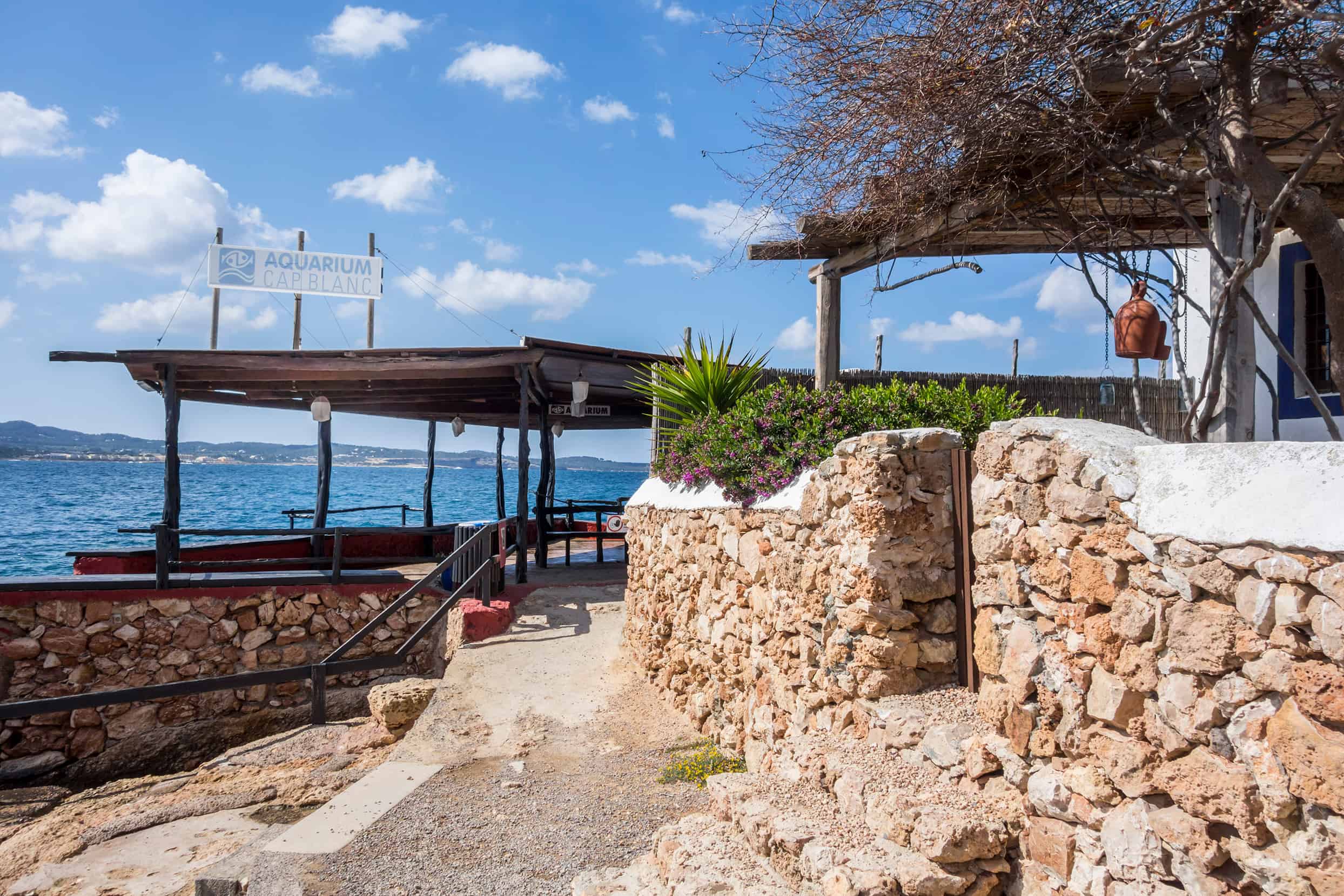 Beach Star Ibiza Hotel